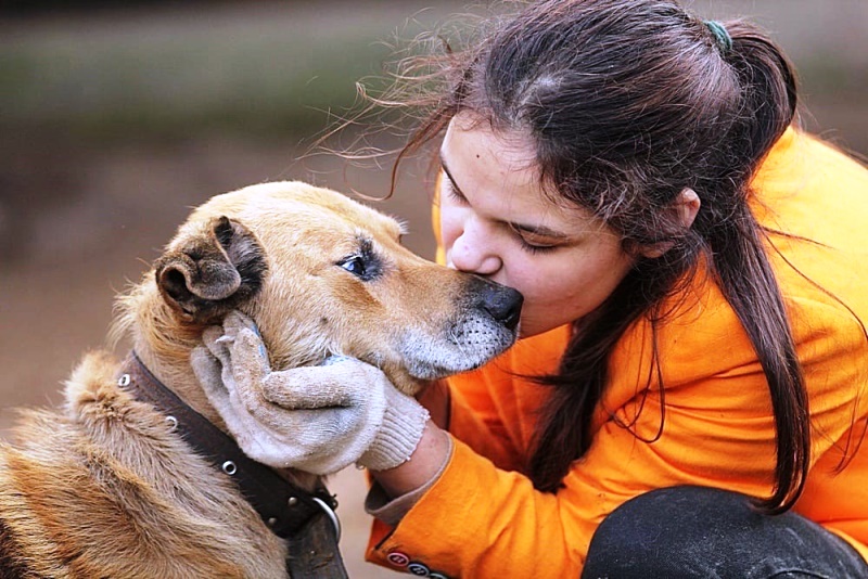 Фото: Фонд помощи и реабилитации бездомных животных "Найда" 