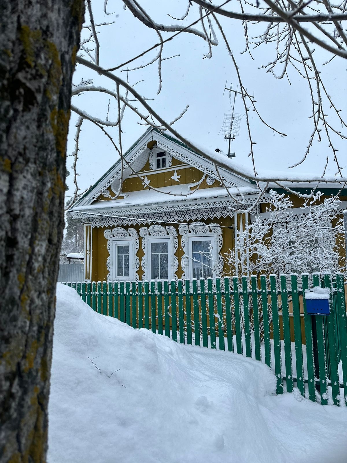 Открытые-НКО - «Маленькая революция в мозгах произошла»: благодаря  активистам города Южа люди стали возвращать на свои окна снятые наличники