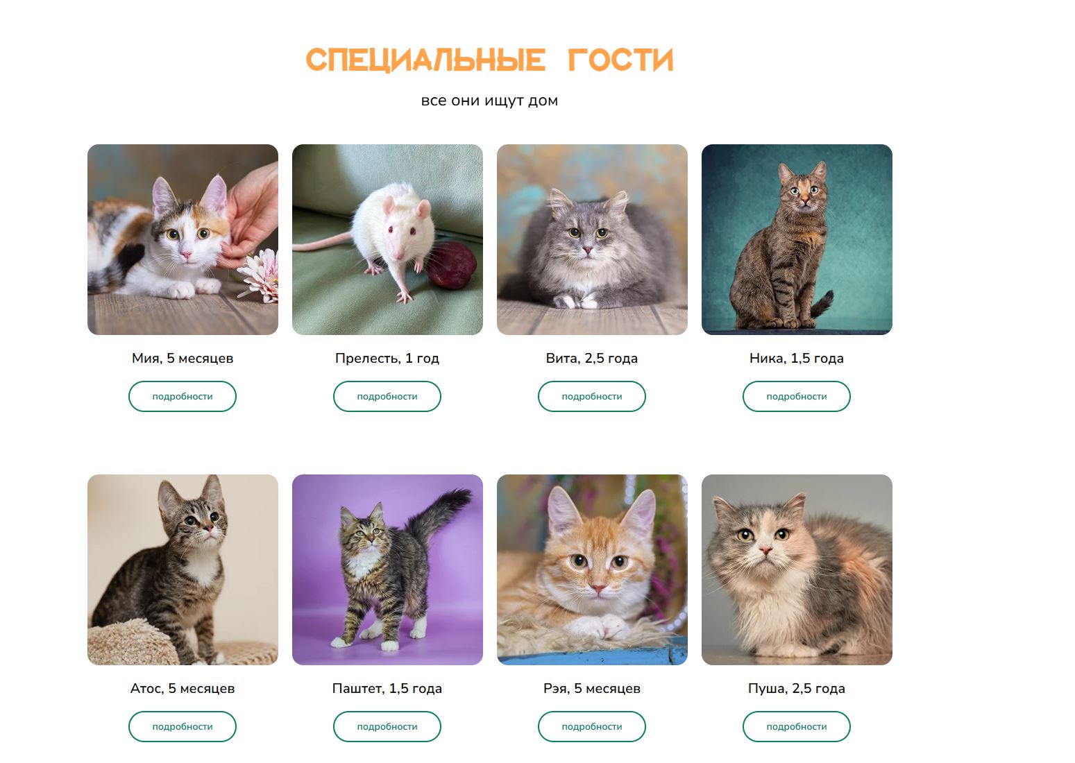 Фото: официальный сайт фестиваля pets.rayfund.ru