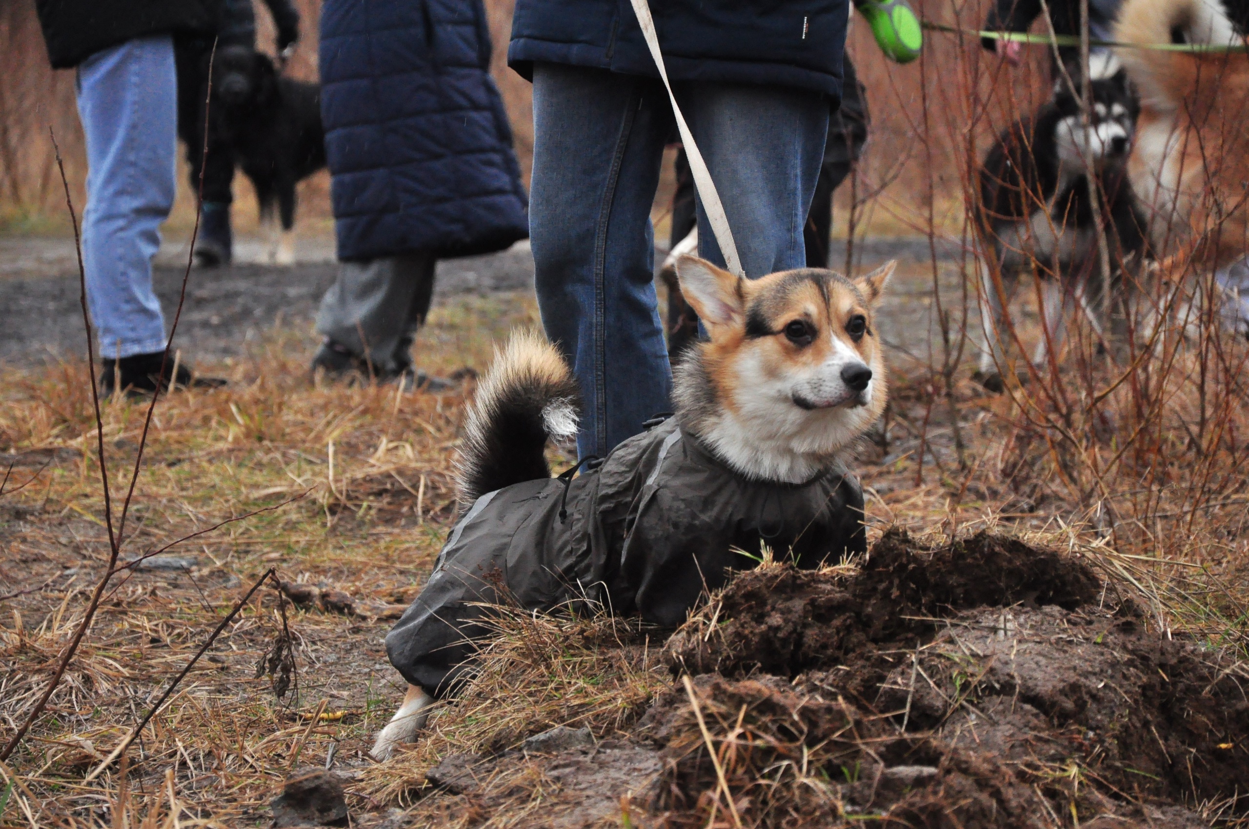  Фото: АНО "Быть Человеком"