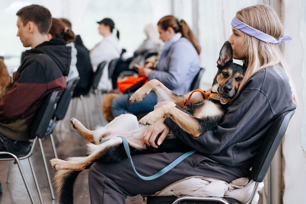 Слушатели ветеринарной лекции. Фото: предоставлено БФ «Собаки, которые любят». 