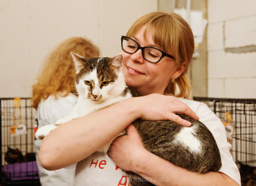 В Москве на фестивале в поддержку бездомных животных 17 котиков обрели дом