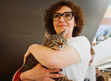 Более 20 котиков нашли новый дом на благотворительном фестивале в Москве