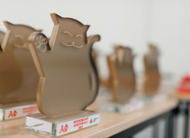 На сайте Премии «Золотой кот 2022» проходит народное голосование за фандрайзинговые проекты НКО