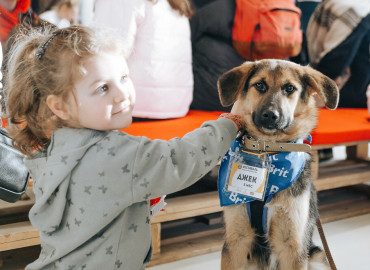 22 собаки и кошки нашли свой дом на фестивале «Собаки, которые любят» в Москве