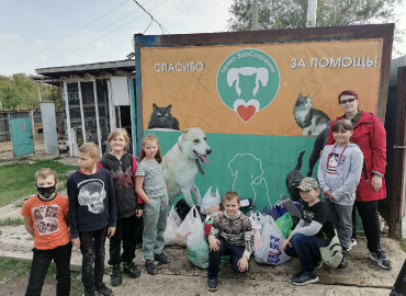 Миллион от добрых шефов: 10 тысяч школьников и студентов из Самарской области стали кураторами приютских животных
