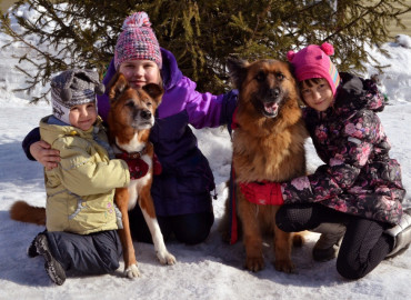 Клуб собаководства «Альфа» Республики Алтай принял участие в акции «Туда, где любят»