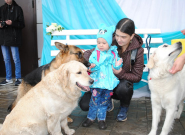 Клуб собаководства «Альфа» Республики Алтай провел акцию для детей с ограниченными возможностями здоровья