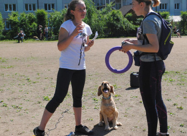 В Республике Алтай собаководы-любители преодолели 11 этапов эстафеты