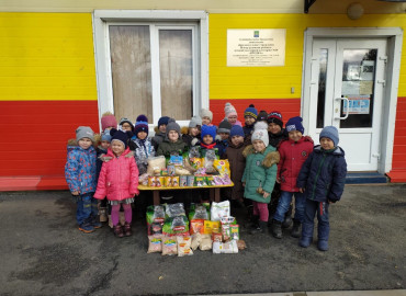 В Азове малыши и школьники собрали 3,5 тонны корма для животных из приюта
