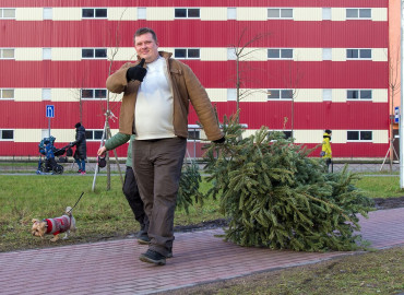 «Елки, палки и щепа»: в Петербурге и Ленинградской области стартовала акция по переработке новогодних елок