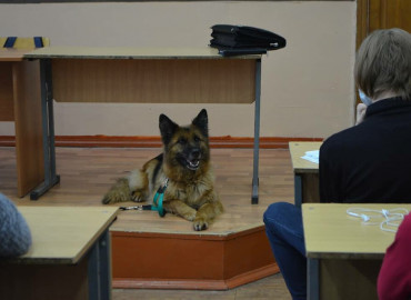 Алтайские собаководы учат студентов безопасному поведению с бродячими животными