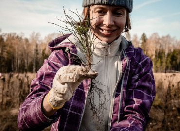 Глоток чистого воздуха для планеты: РусКлиматФонд посадил 50 тысяч сосен на месте погибшего леса в Нижегородской области
