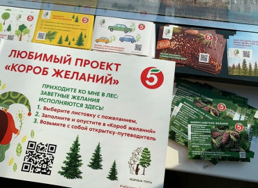 "Хочу посадить хвойники возле двора": в Москве и области установили 75 коробов желаний, куда можно опустить листовки со своими "зелеными" мечтами