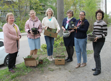 Ассоциации родителей детей-инвалидов «Свет» подарили цветы для посадки клумб во Владимире