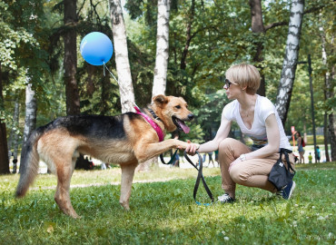 В России появилась РэйАкадемия - первая бесплатная база знаний о домашних животных