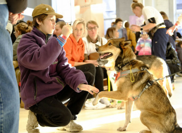 Главными героями фестиваля «Собаки, которые любят» в Москве станут подопечные приютов для бездомных животных