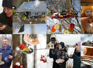 Активисты Астраханской области призывают жителей региона присоединиться к акции: сделать кормушку и заботиться о птицах зимой