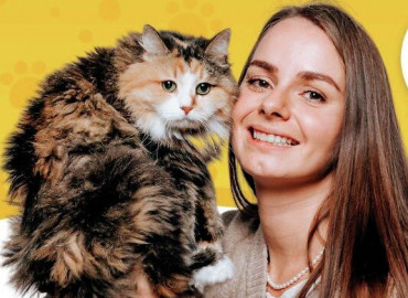Познакомиться с котиками из приютов и сыграть в умные игры: москвичей приглашают на «КисКвиз»