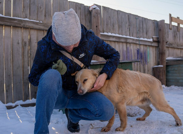Волонтеры передали лекарства, сухой корм и морозильный ларь для хранения скоропортящихся продуктов приюту для животных в Алтайском крае