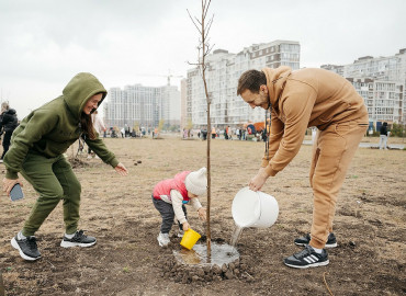 Более ста липецких семей высадили липы, клены и рябины