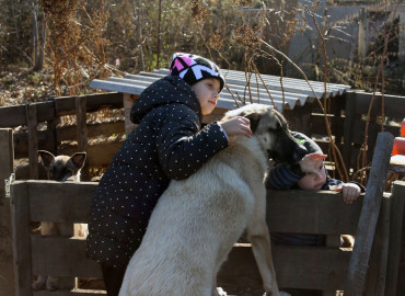 В железногорском приюте для бездомных животных школьники отремонтировали вольеры к зиме и построили будки