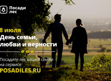Лес во имя любви: Движение ЭКА запускает всероссийскую акцию ко Дня семьи, любви и верности