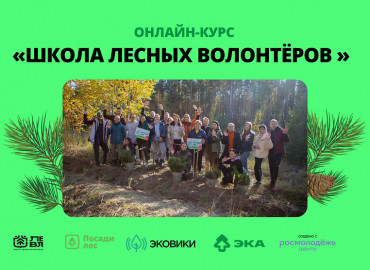 Пройти онлайн-курс и поехать в полевой лагерь: россиян приглашают в "Школу лесных волонтеров"
