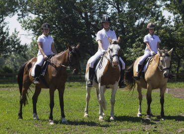 В Красноярском крае открылись секции конного спорта для особенных людей