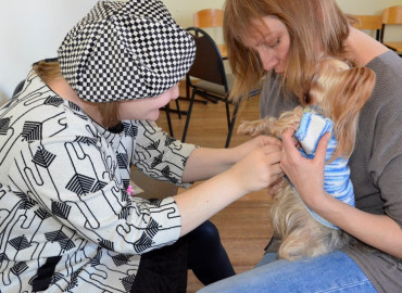 "Хвостатый доктор": в Орске волонтеров обучают канистерапии для работы с особыми детьми