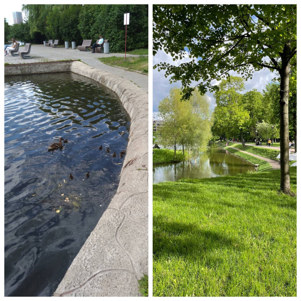 Фото: Фонд защиты городских животных