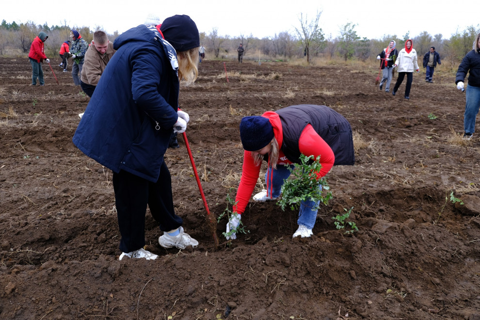 Фото: «Русский климатический фонд»